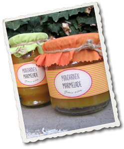 mandarinen_konfituere